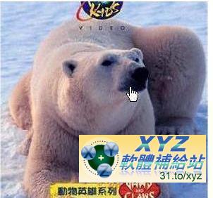 Discovery Kids 動物英雄系列 第六篇 飛行刺客Flying Assassins 01-03集(完) 國語/英語發音 英文/繁體中文/簡體中文語言字幕版(DVD版)(幼兒教學)(適用任何家用DVD播放機)